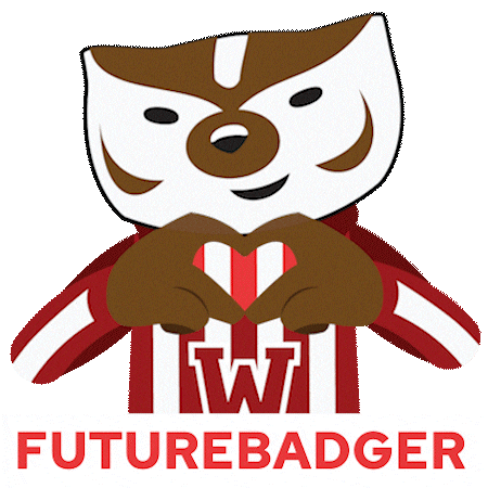 College Badgers Sticker by uwadmissions