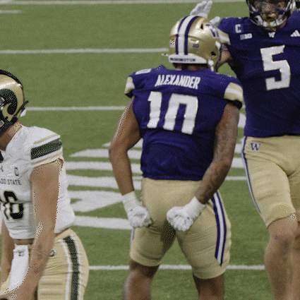 Bow Down University Of Washington GIF by Washington Athletics
