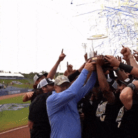 VandyBoys win 2023 SEC Baseball Tournament by Vanderbilt Athletics | GIPHY
