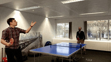 Serve Ping Pong GIF by Optimy