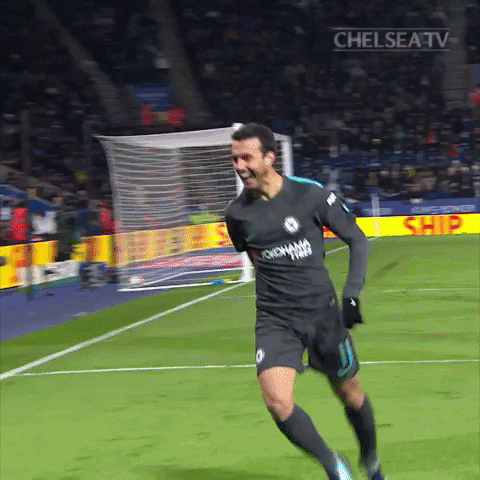 happy celebration GIF by Chelsea FC