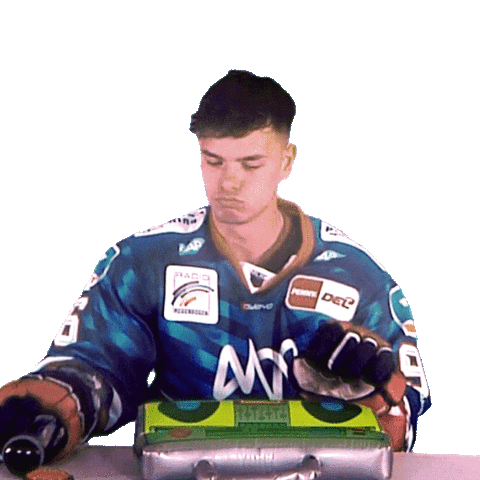 Eishockey Sticker by Adler Mannheim