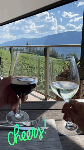 Cheers Wine GIF by Crystal Hills Organics