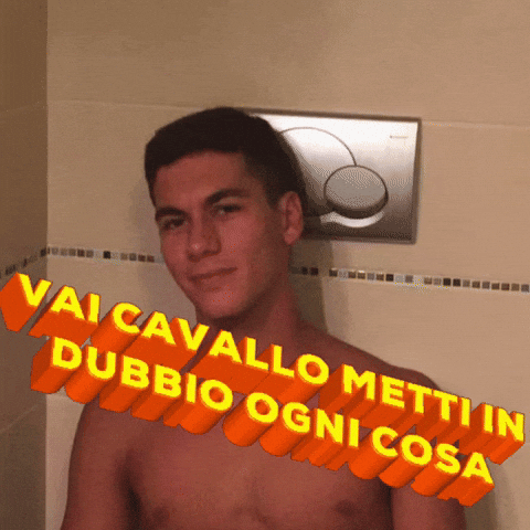 Vai Cavallo Metti In Dubbio Ogni Cosa GIF