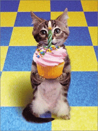 Birthday Cats Gifs Get The Best Gif On Giphy