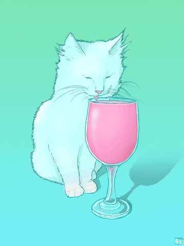 Cute-pussy GIFs - Get the best GIF on GIPHY