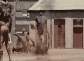 Sports GIF