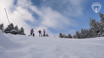 Alpine Skiing GIF by All-Round Champion