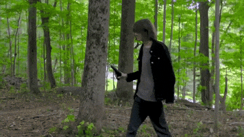 Music Video Forest GIF by aldn