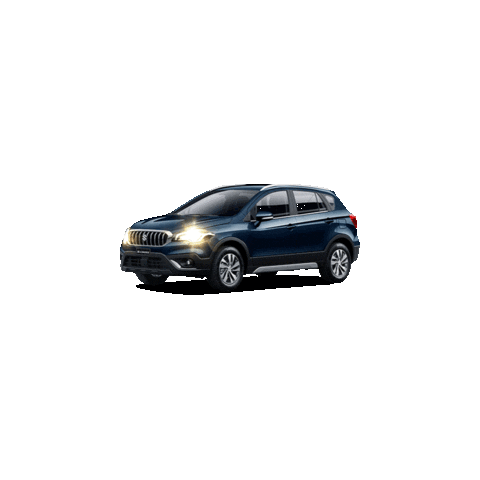 suzuki chile Sticker