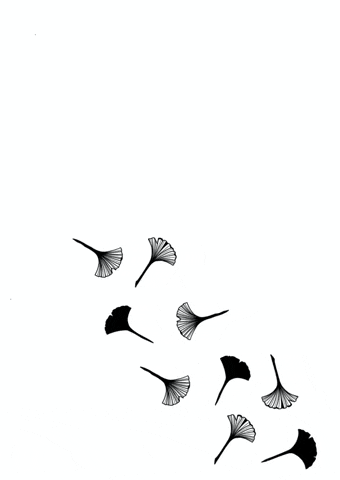 GIF by Shefest