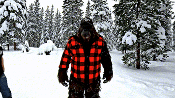 GIF by PekoeMortgages