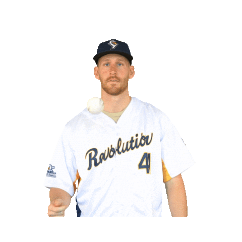 Baseball Mlb Sticker by York Revolution