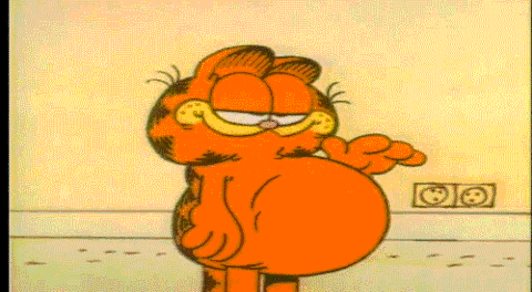 Garfield Rip Nermal GIF - Find & Share on GIPHY