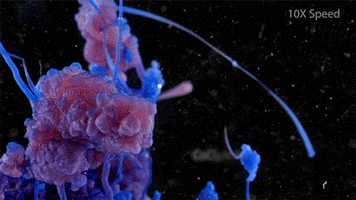art chemistry GIF by Digg