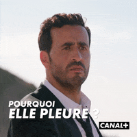 Jonathan Cohen Reaction GIF by CANAL+
