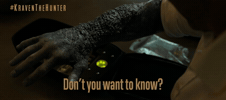 Why They Call Me the Rhino
