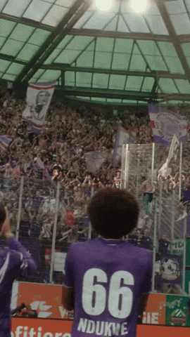 Rapid Wien Vienna GIF