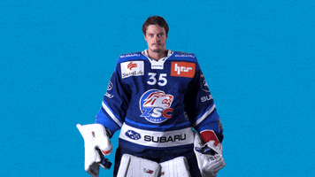 Waeber GIF by ZSC Lions
