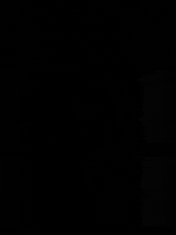 Numberi GIF
