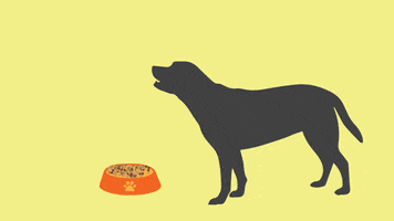 Bad Breath GIF by MUTTS Canine Cantina