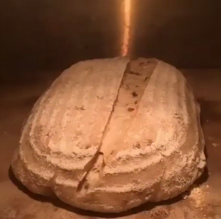 sourdough bread