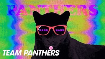 Panthers GIF by RPA_Advertising