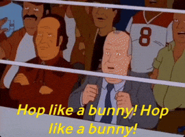Bunny GIF