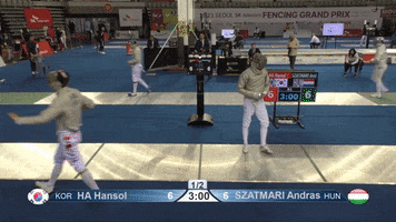 GIF by Fencing Database