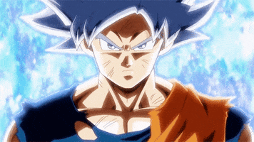 Dragon Ball Super Goku Ultra Instinct GIF by Toei Animation