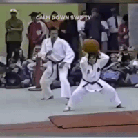 head karate GIF