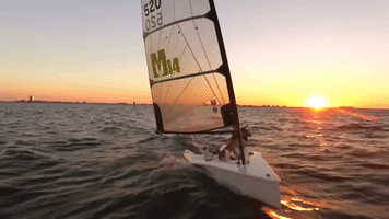 shoreline  GIF