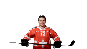 Celebrate National Team Sticker by Swiss Ice Hockey
