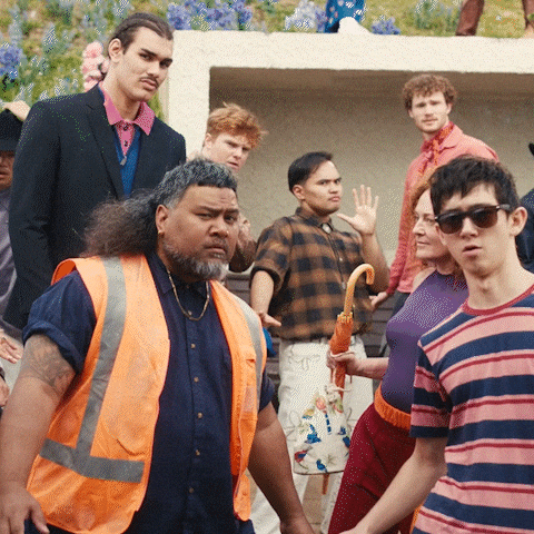 New Zealand GIF by Southern Cross NZ