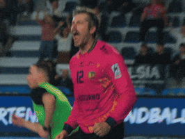 Celebration Passion GIF by Saint-Raphaël Var Handball