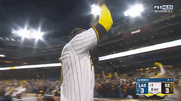 Come On Cheering GIF by MLB