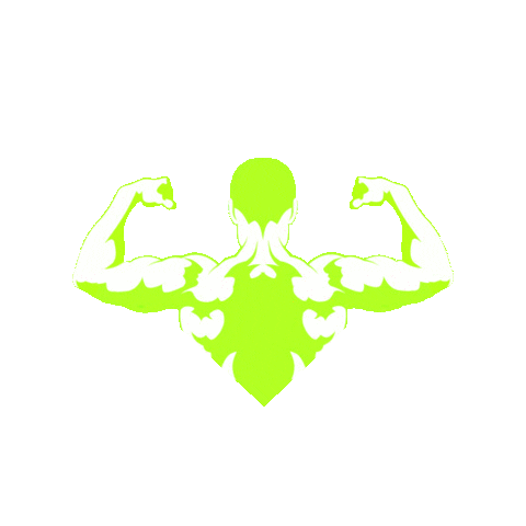 Removals Sticker by DreamTeamMovers