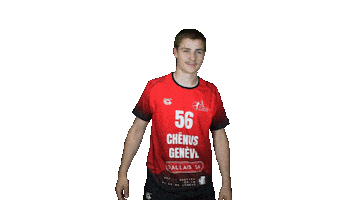 Chenois Sticker by CS Chênois Genève Handball