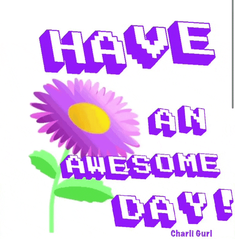 Awesome Day GIF by Charli Gurl