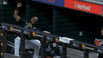 Ny Mets Cheer GIF by New York Mets