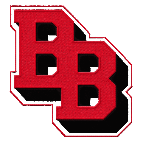 Art Agency Sticker by Boldbishop