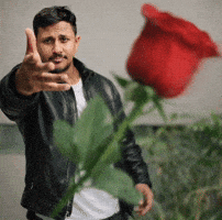 Ajp GIF