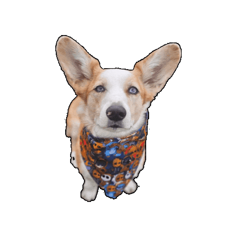 I Am Groot Corgi Sticker by Geekster Pets