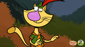 suspicious nature cat GIF by PBS KIDS