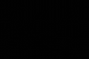 Anita Equilibrium GIF