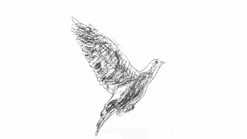 a bird animation sketch but animated