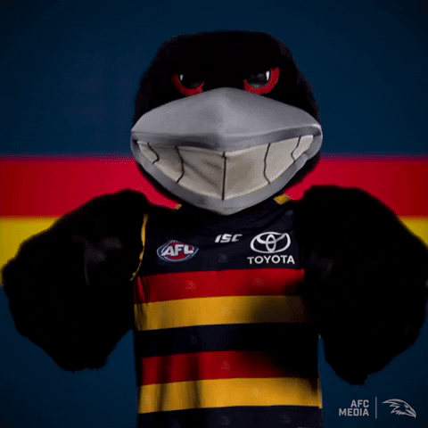 afl shaking head GIF by Adelaide Crows