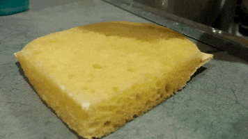 water sponge GIF