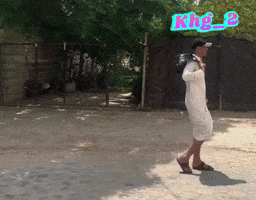 Iraqi Memes GIF