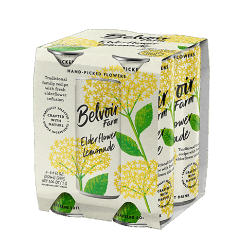 Summer Beach Sticker by Belvoir Lemonades & Cordials